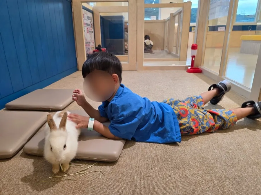 A child sitting together with the rabbit in the bonding zone