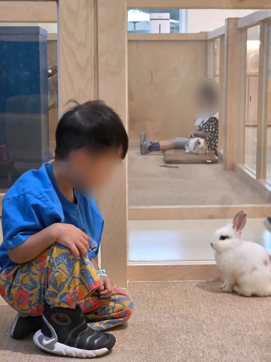 A child smiling while bonding with the rabbit