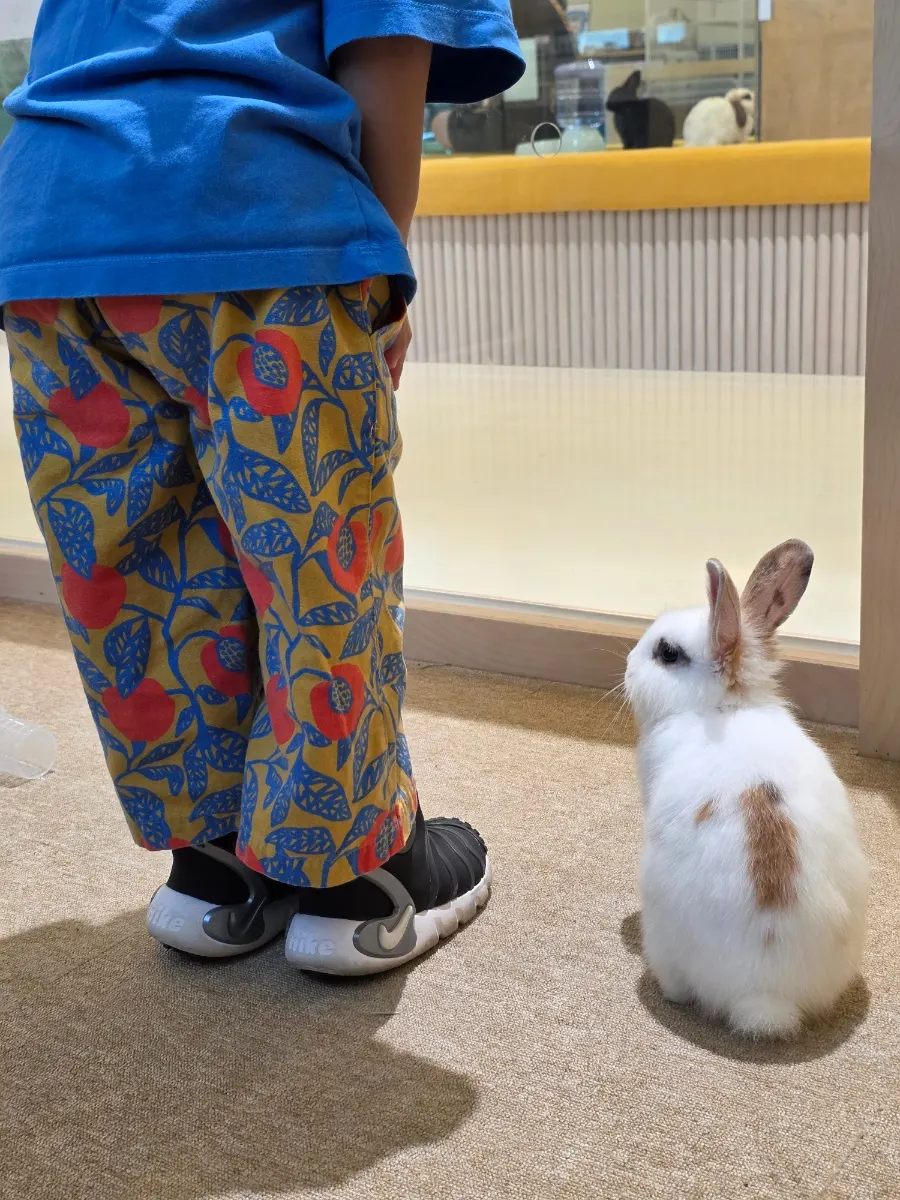 A weekend outing spent at the nature-filled animal experience café