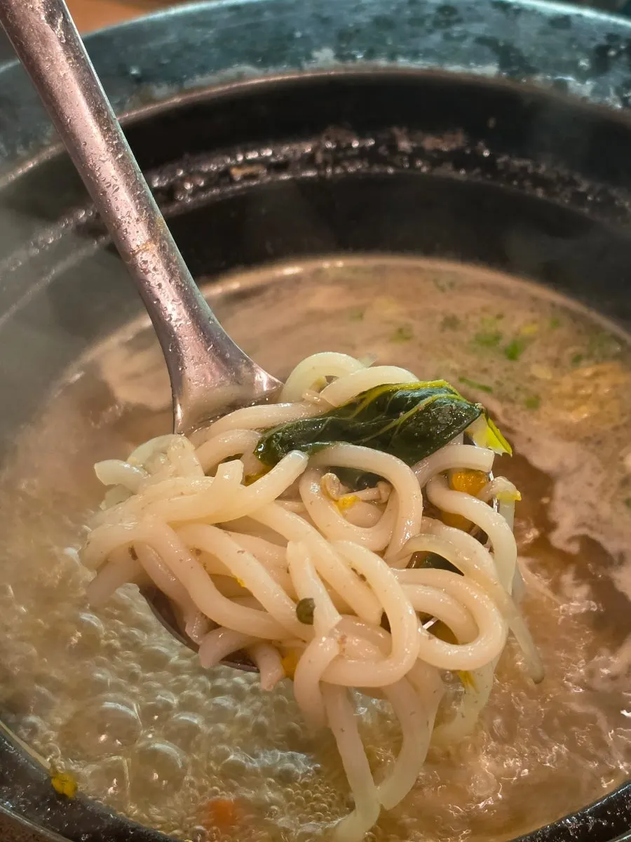 Neatly plated udon noodles served to finish the meal
