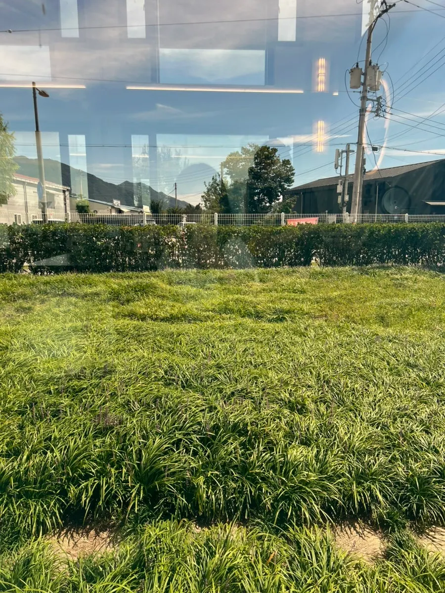 Garden view through the windows at Baekheukdam
