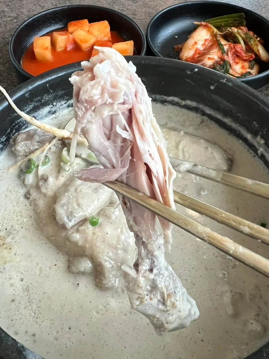 Hearty perilla broth samgyetang