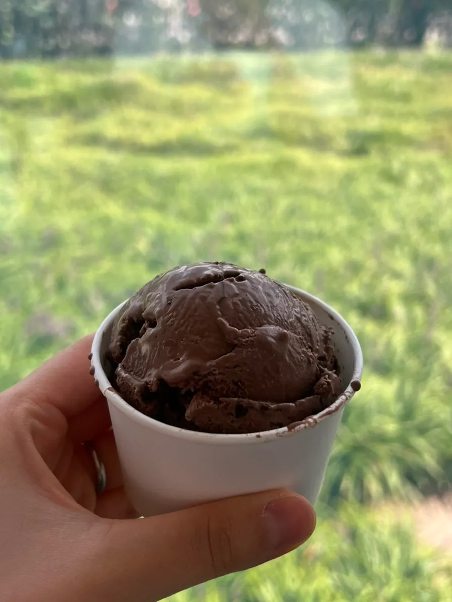 Chocolate ice cream with chocolate chunks