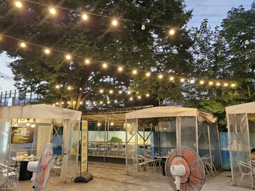 Dog-friendly tent seating outdoors