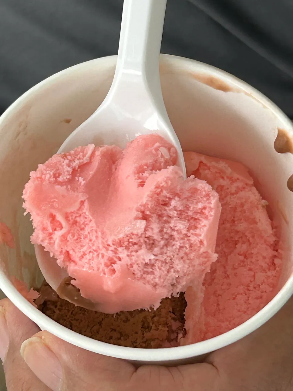 Complimentary ice cream and freshly ground coffee