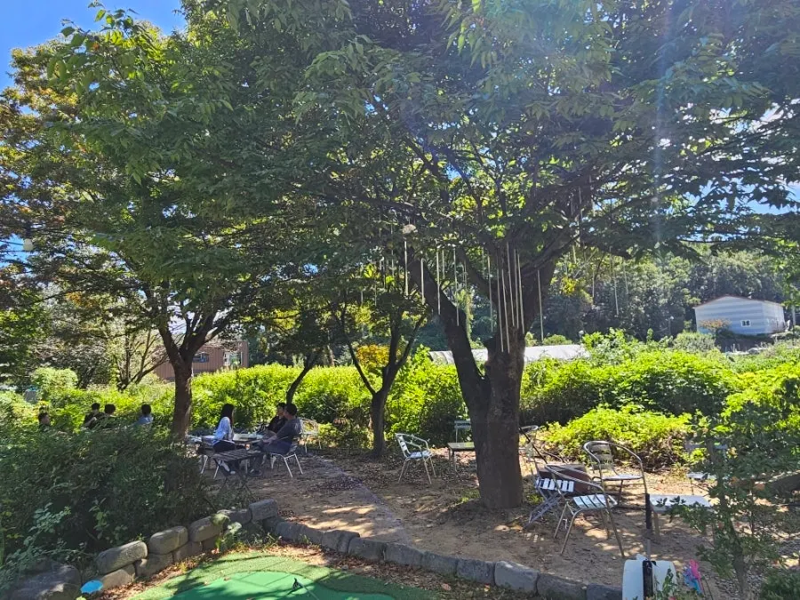 Outdoor garden space filled with plants