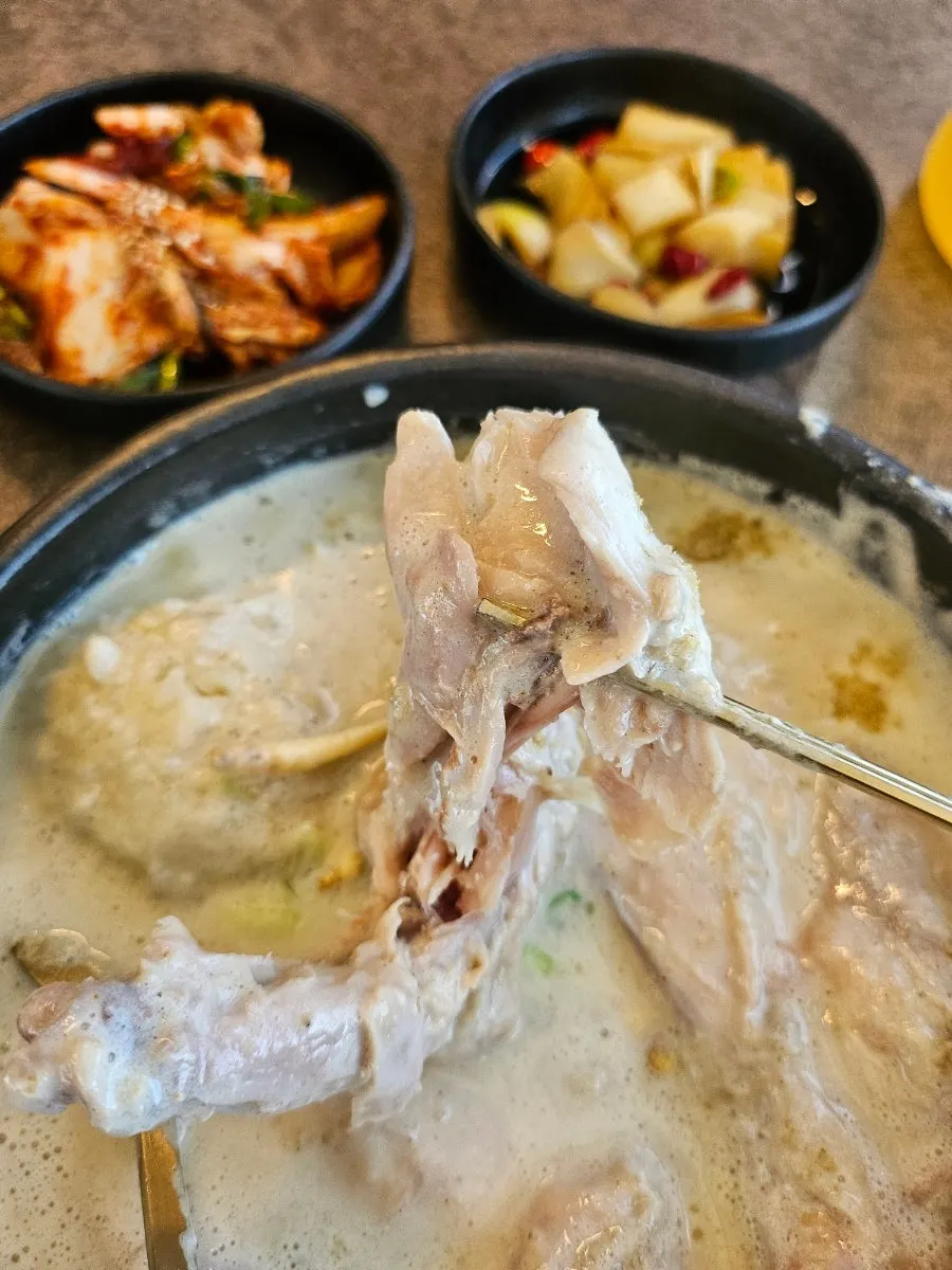 부드럽게 찢어지는 삼계탕 닭고기