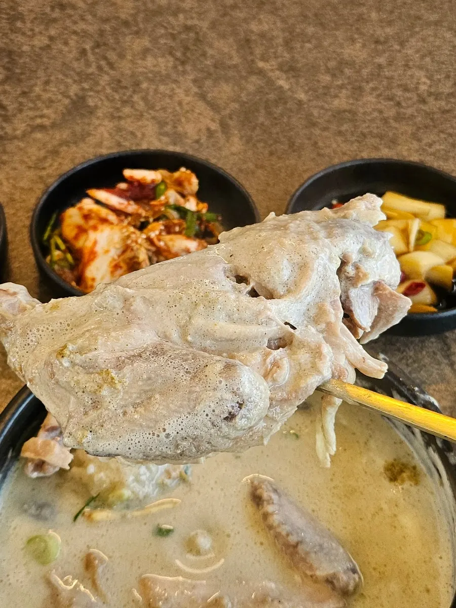뚝배기 속 찹쌀밥이 보이는 삼계탕