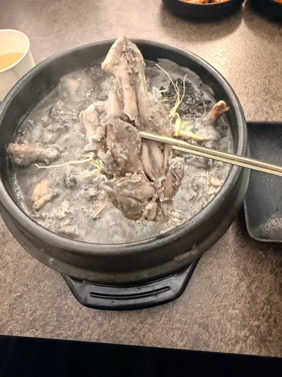 Close-up of Baekheukdam's samgyetang broth