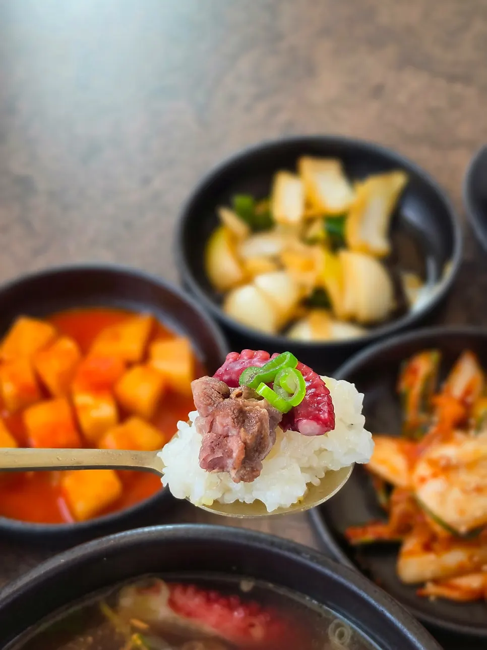 야들야들하게 익은 문어 조각