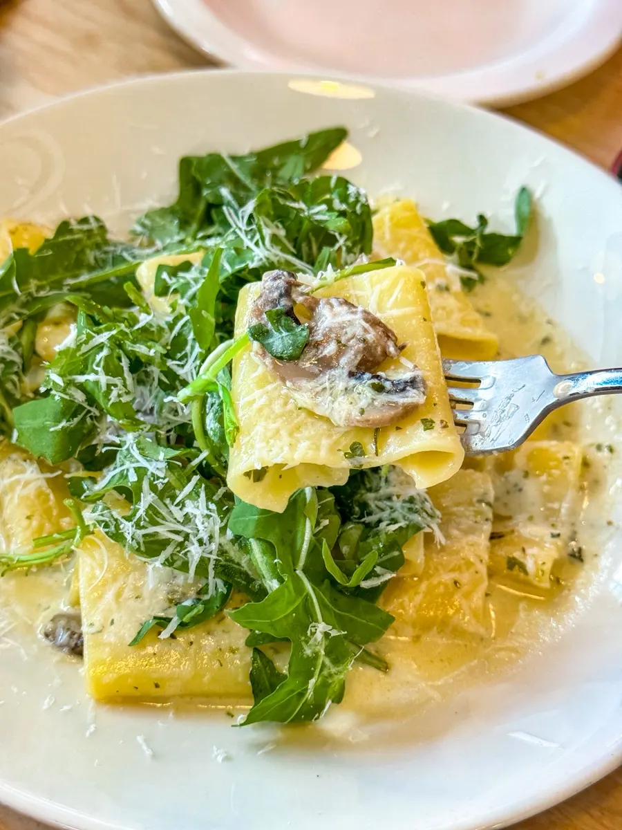 Mushroom cream sauce and pasta