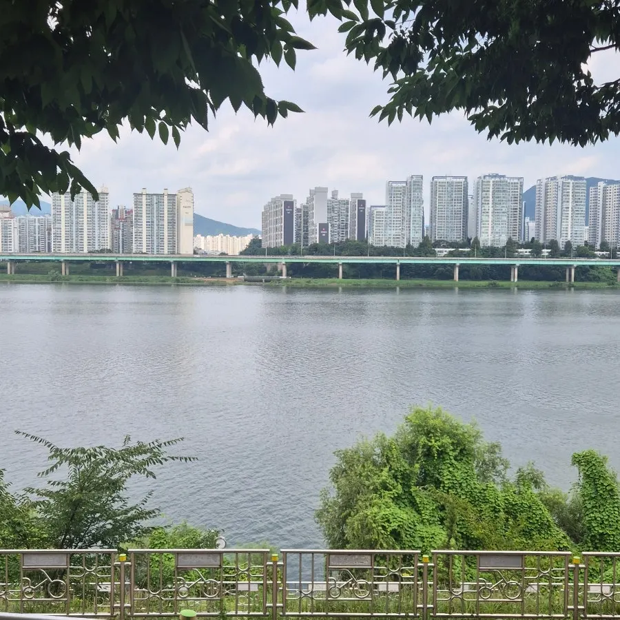 통창과 식물이 많은 보께리우 3층 단체석