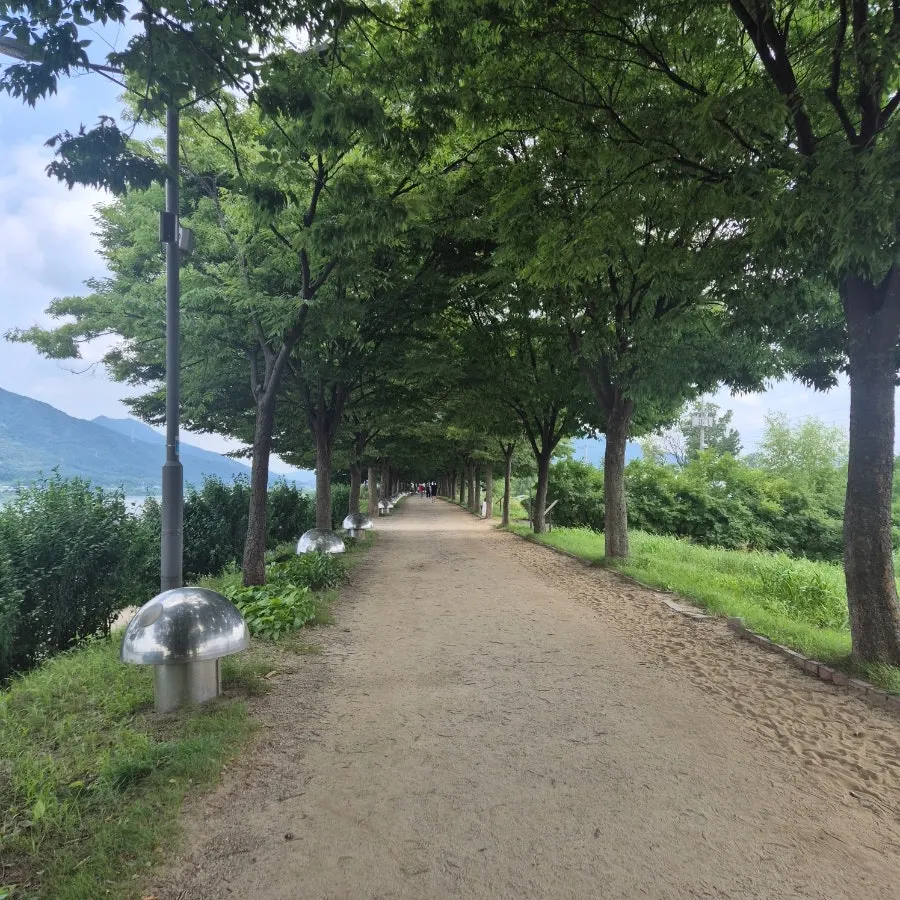 보께리우 앞 한강 산책로와 나무 그늘