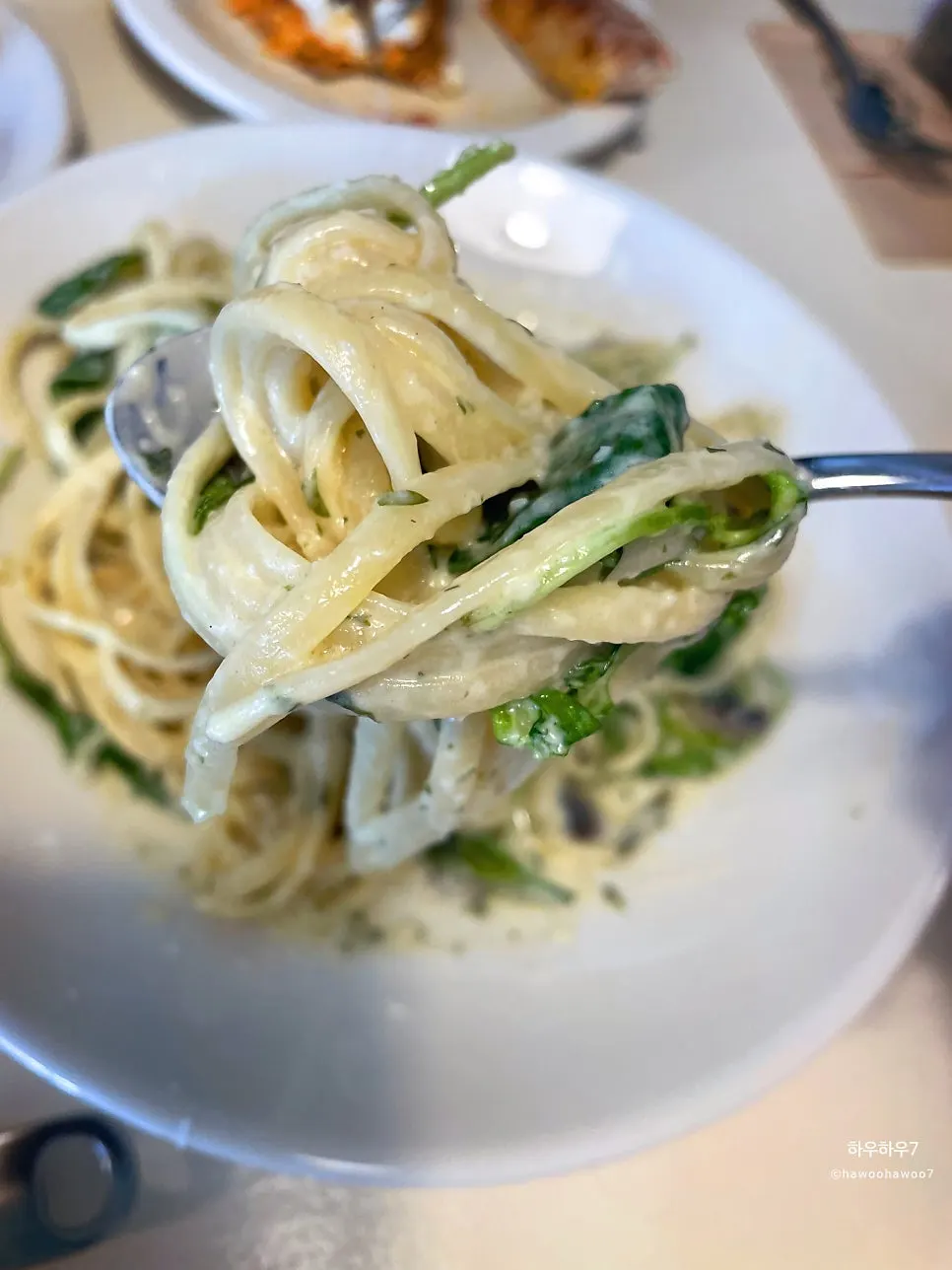Close-up of the truffle mushroom cream pasta