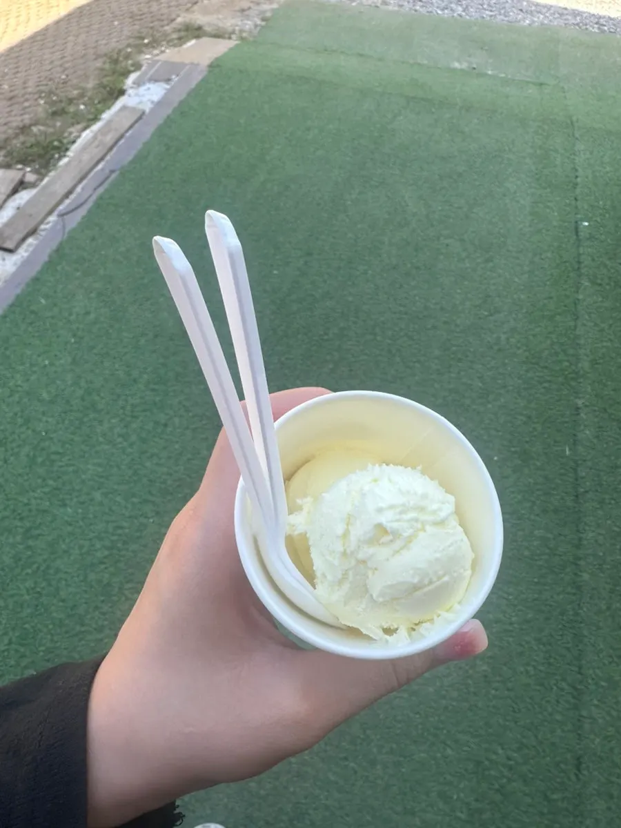 Vanilla ice cream at the dessert corner