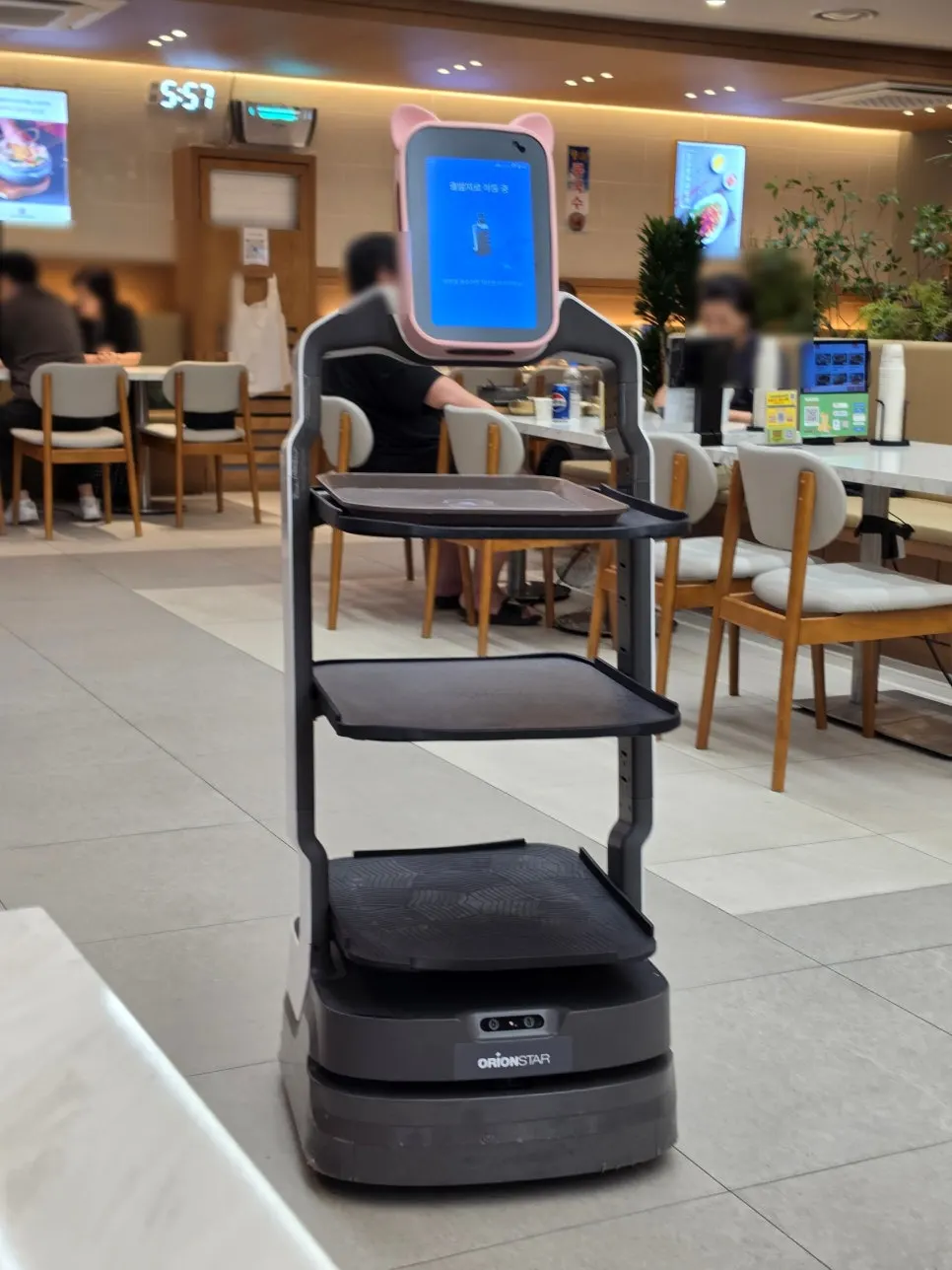 The serving robot bringing food