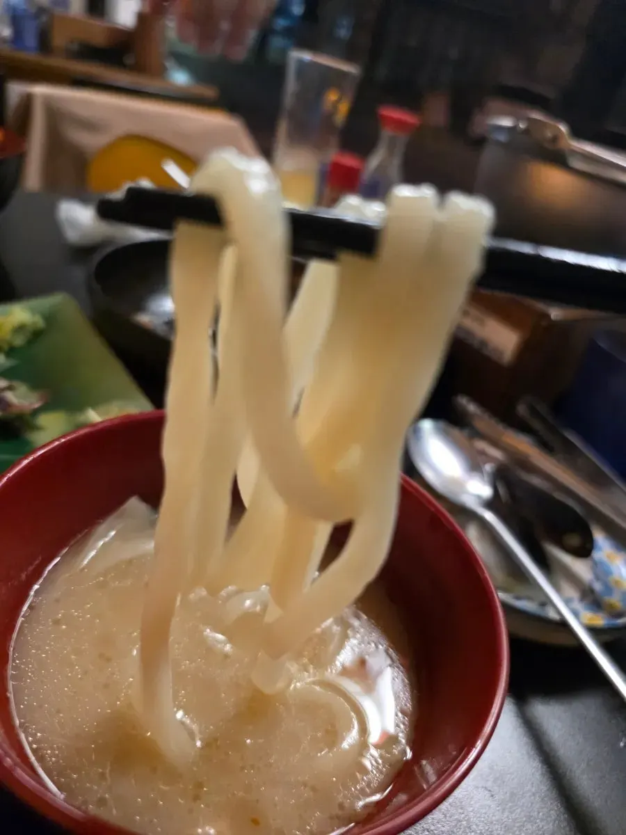Slurping udon noodles soaked in the broth