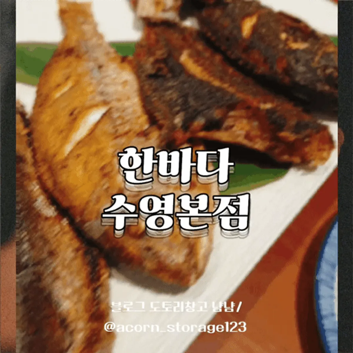 한바다 수영본점 반건조 생선구이 한상 대표 이미지