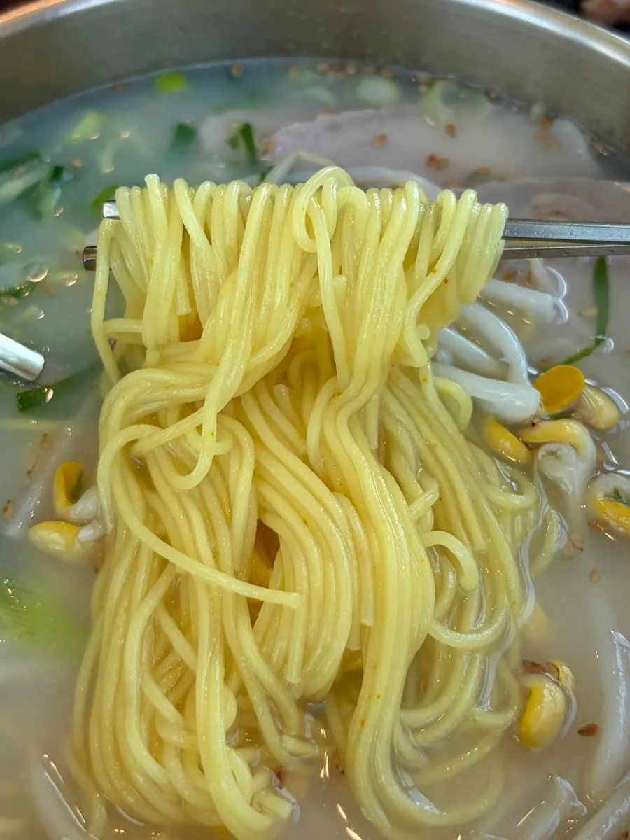 Rich bean bone broth pork noodles