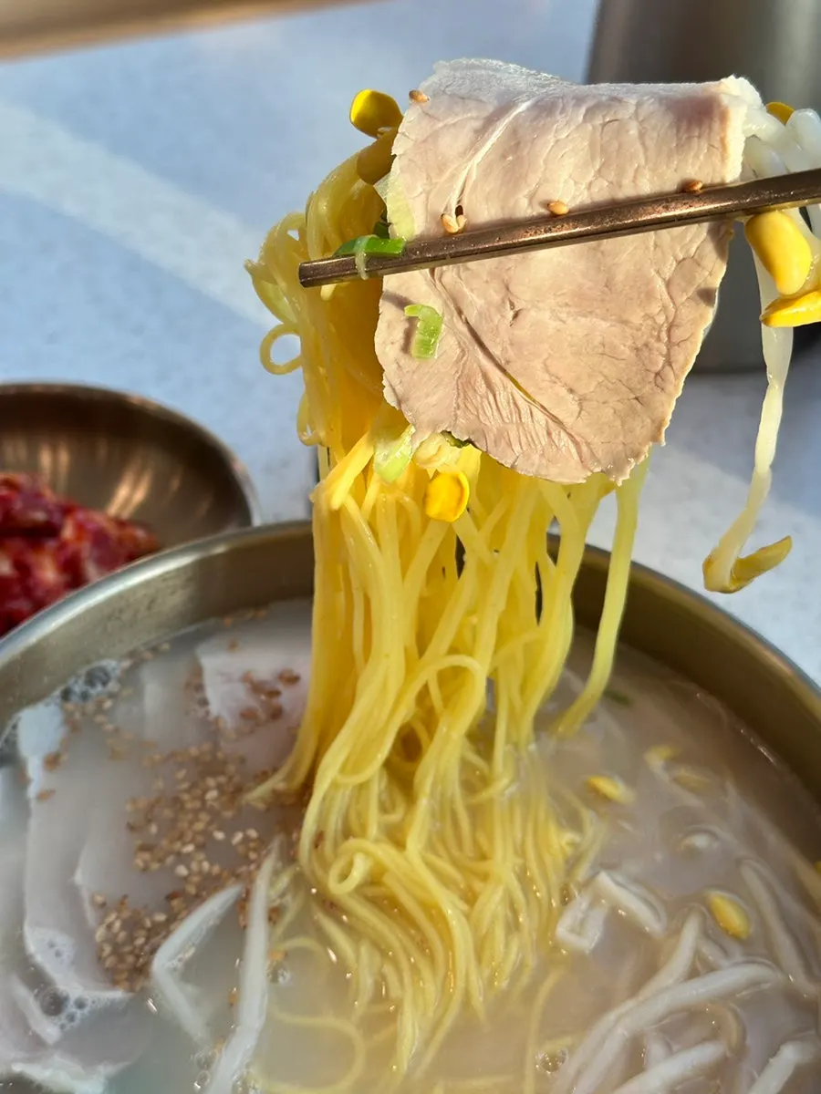 Close-up of the neatly arranged pork topping