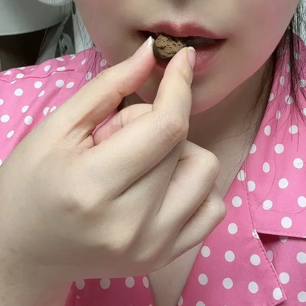 씹어 먹는 효력환 단면