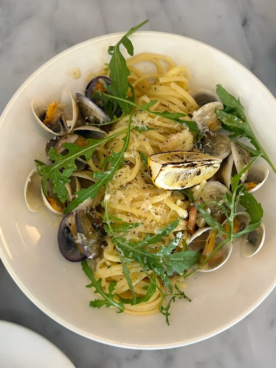 Close-up of vongole pasta topped with clams