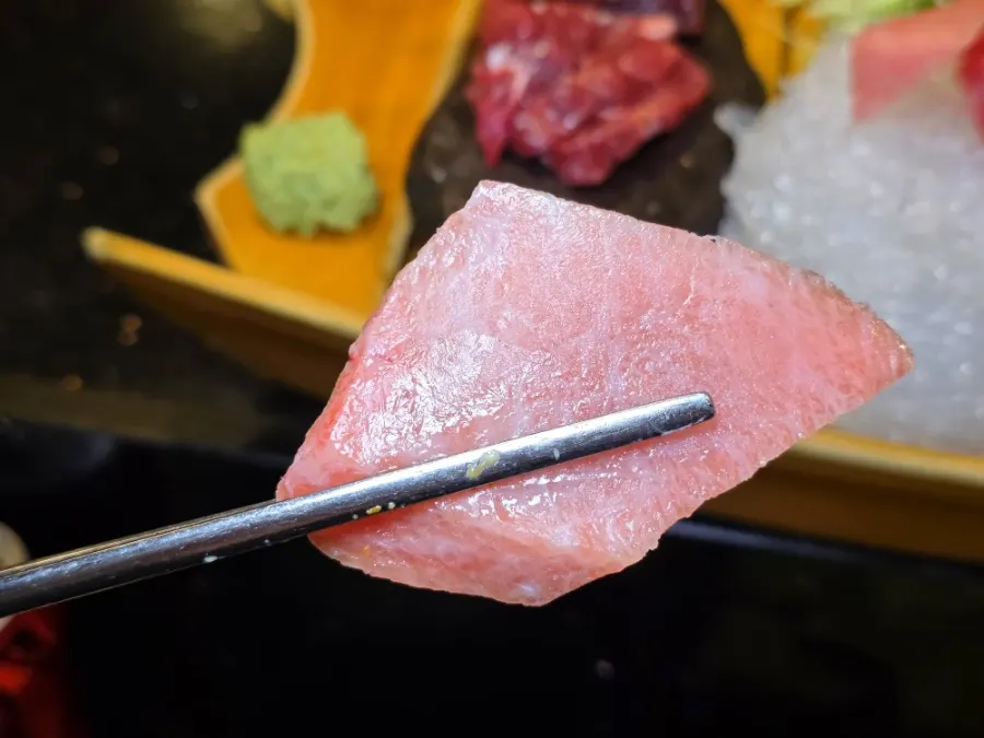Rich otoro tuna sashimi