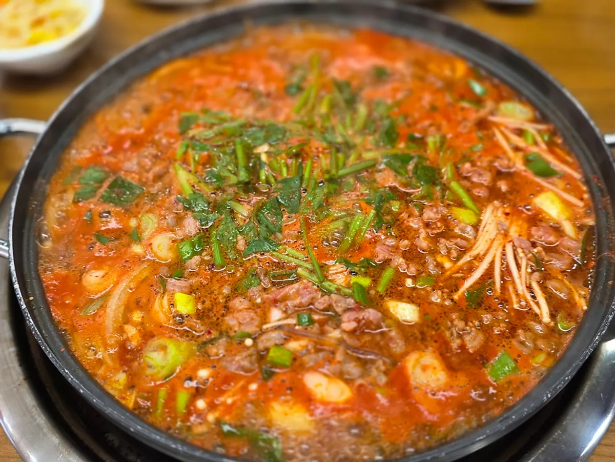 A spread of white rice, tartare, and beef stew