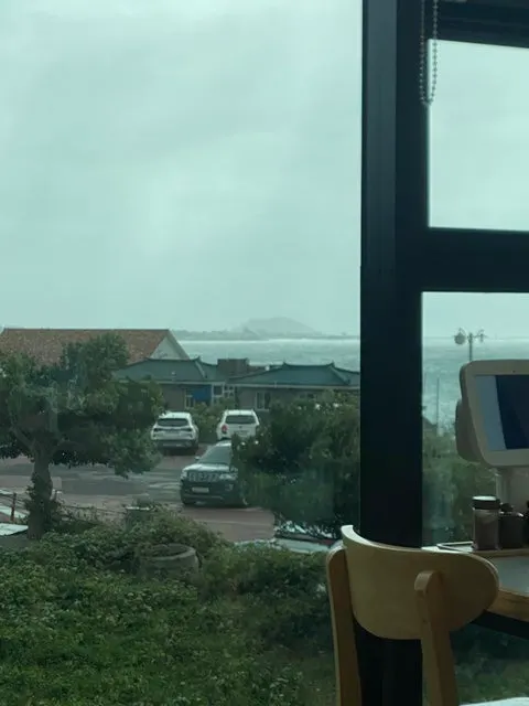 Cloudy-day view of Handam Beach from a window seat
