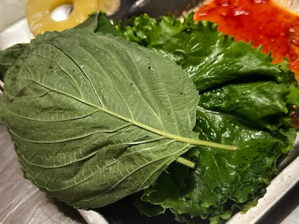 셀프바에서 담아온 쌈반찬