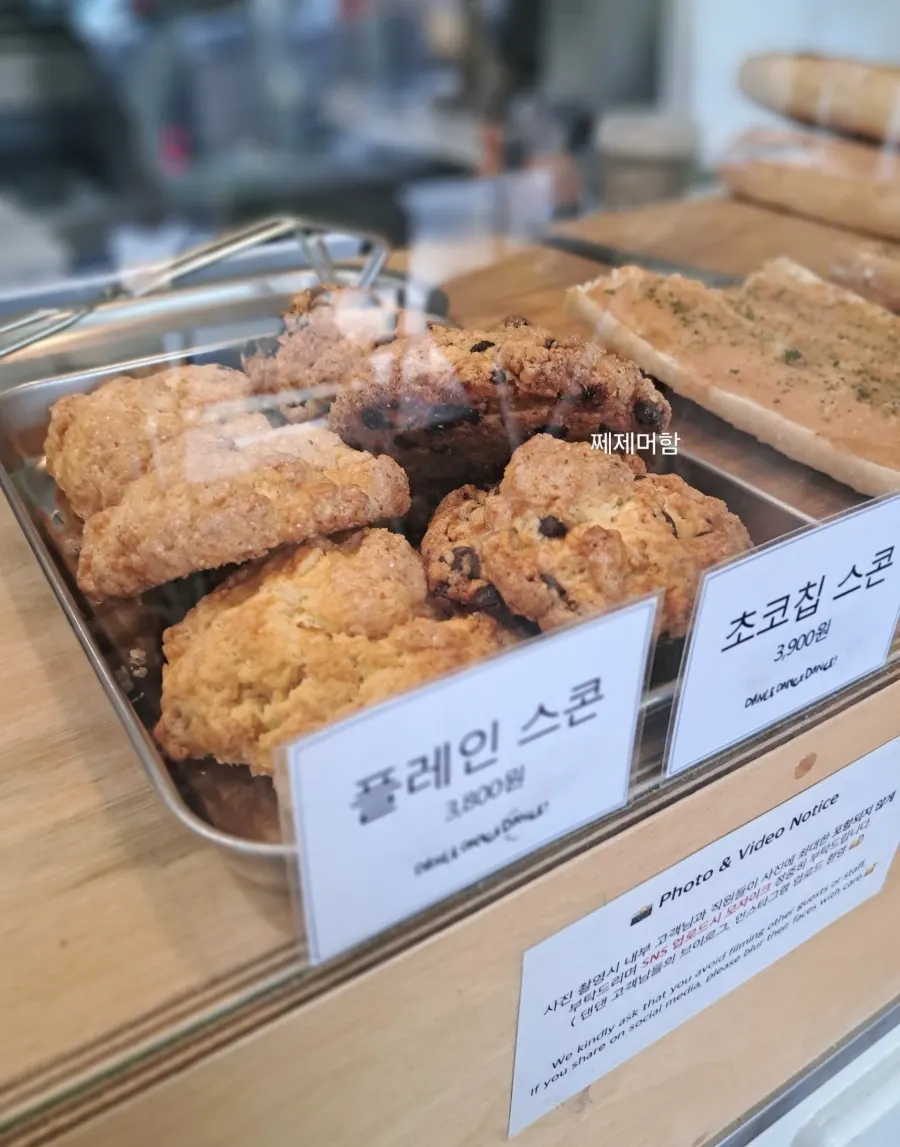 플레인 스콘과 초코칩 스콘 진열