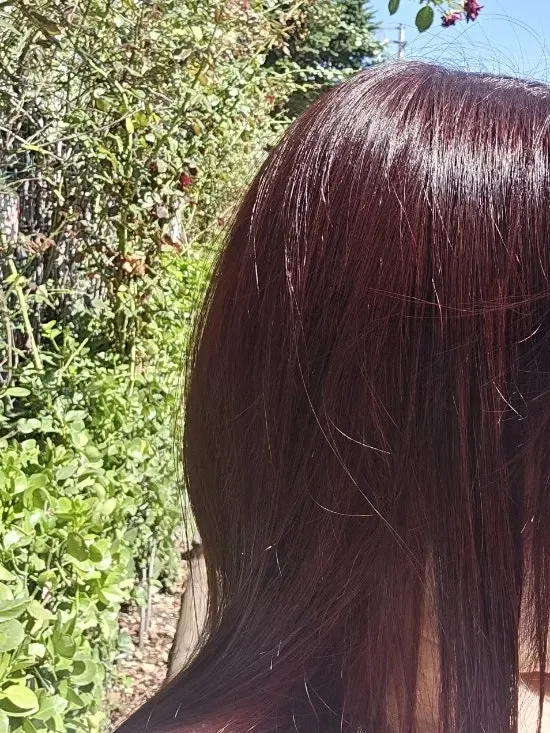 Red-violet hair looking burgundy in natural light