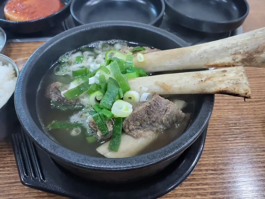 대파가 듬뿍 올라간 갈비탕 국물