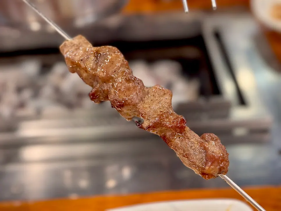 Lamb skewers turning golden brown on the grill