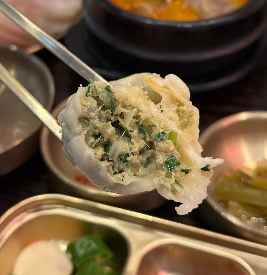 Cross-section of a juicy hand-made dumpling