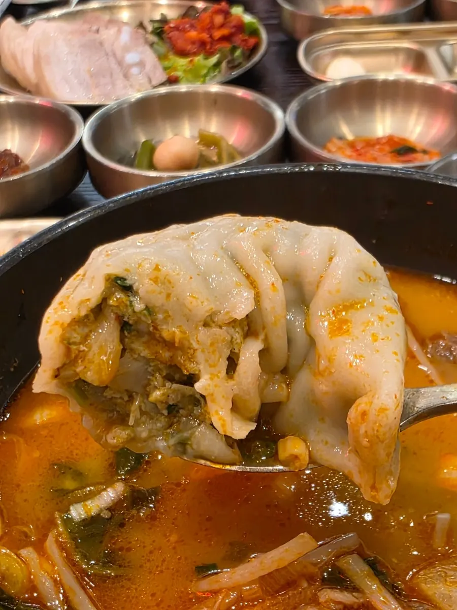 A large mandu dumpling packed with filling