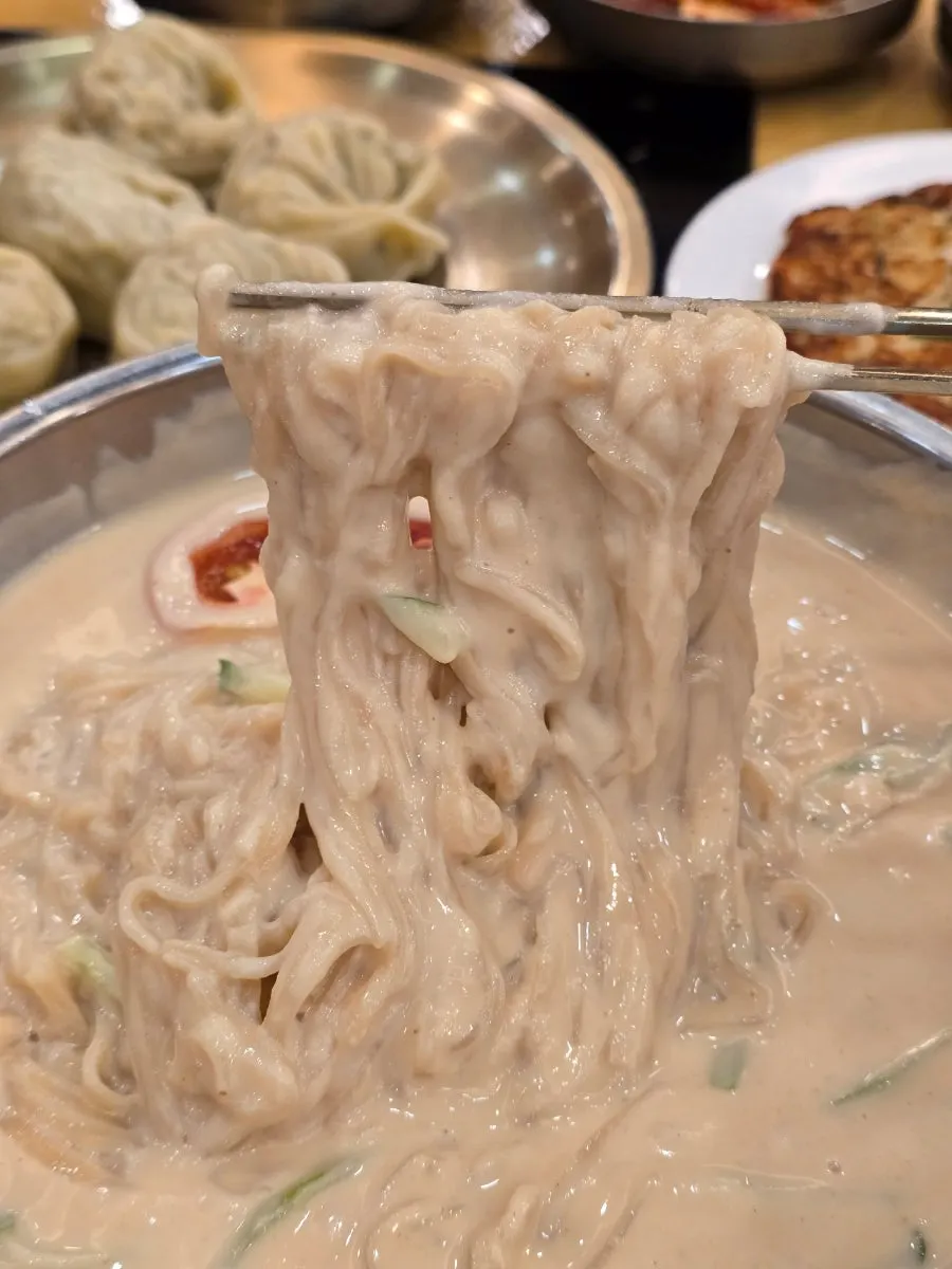 쫄깃한 면발이 보이는 콩국수 클로즈업