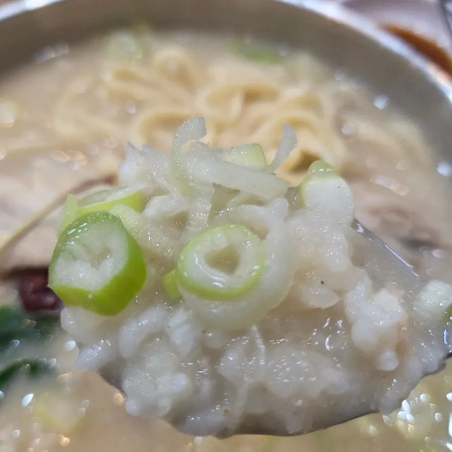 A spoonful of rice soaked in broth