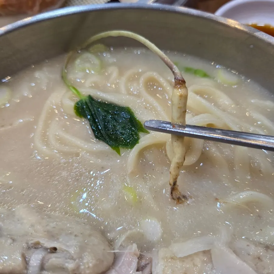 Samgyetang kalguksu broth with fresh ginseng and jujube