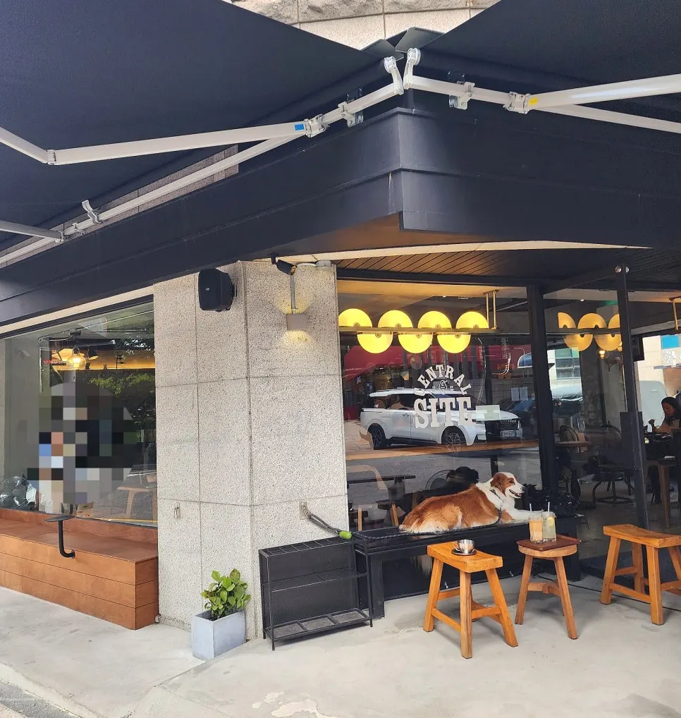 Pet-friendly outdoor tables