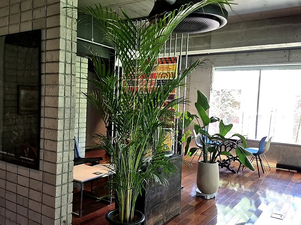 Overview of the café space at Seowon Angil Hapjeong