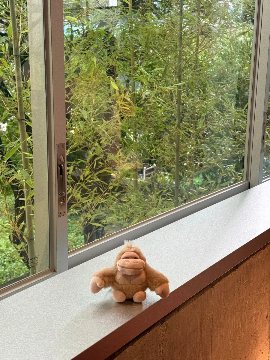 A claw-machine gorilla doll next to the drinks