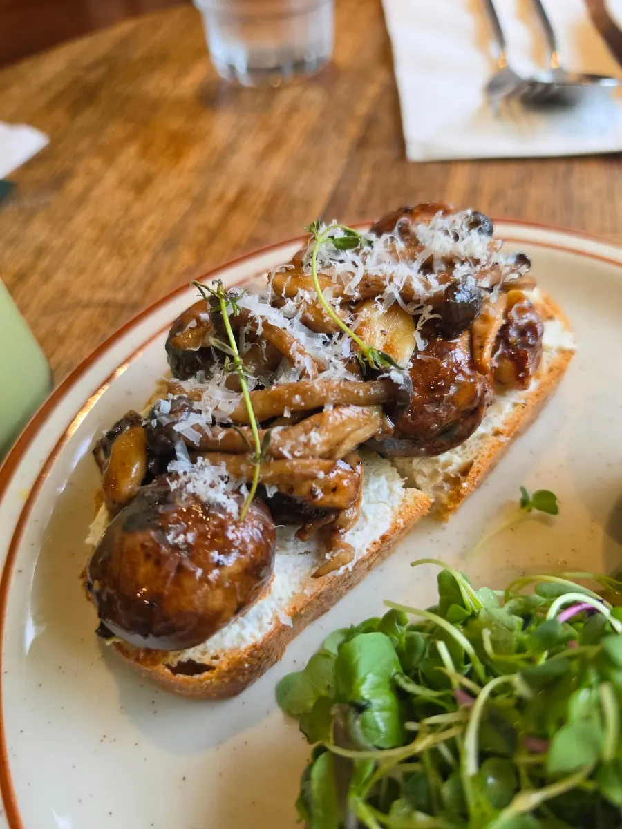 Open sandwich topped with mushrooms on sourdough