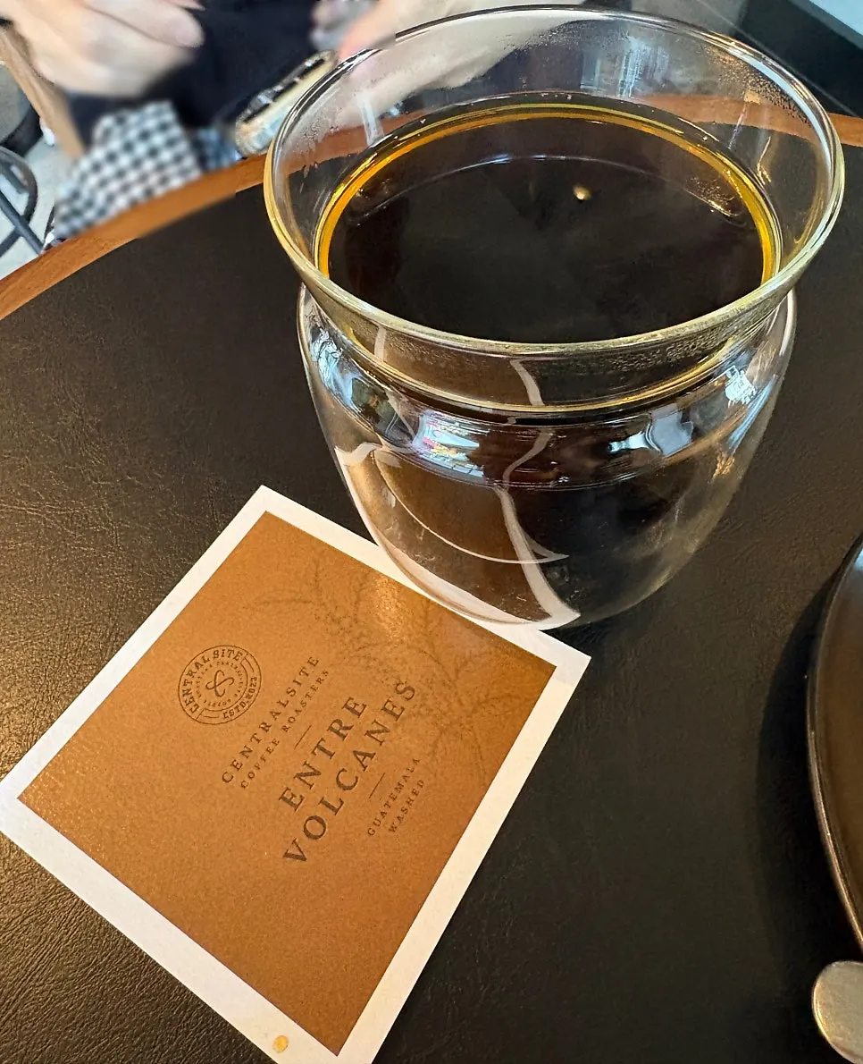 Guatemala Entre Volcanes Washed drip coffee