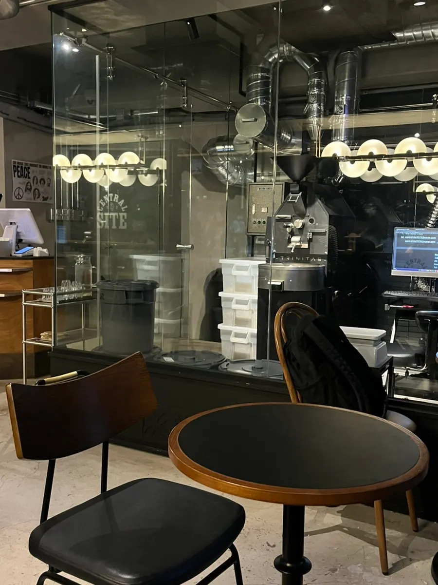 Café interior with a calm atmosphere