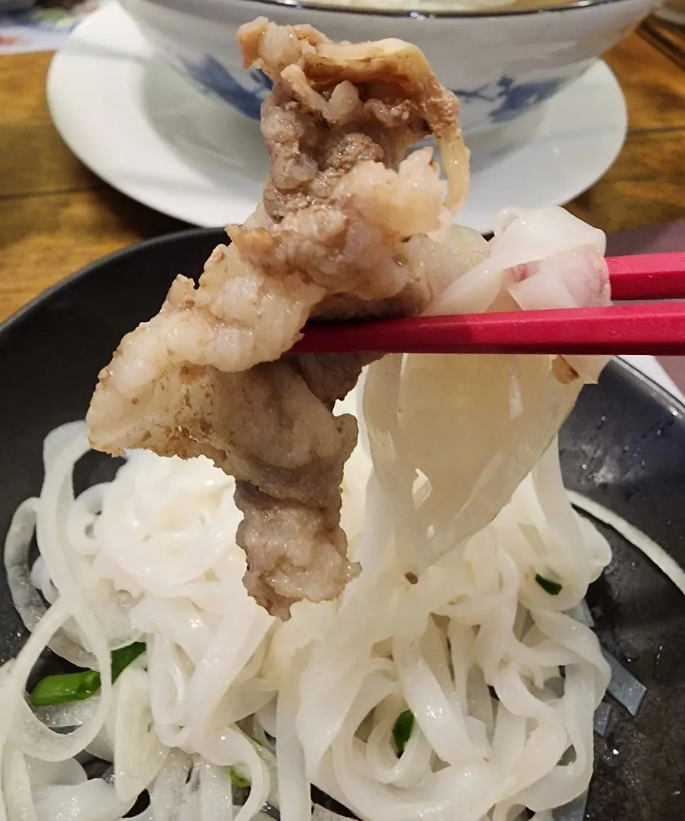 Vietnamese rice noodles with chewy noodles