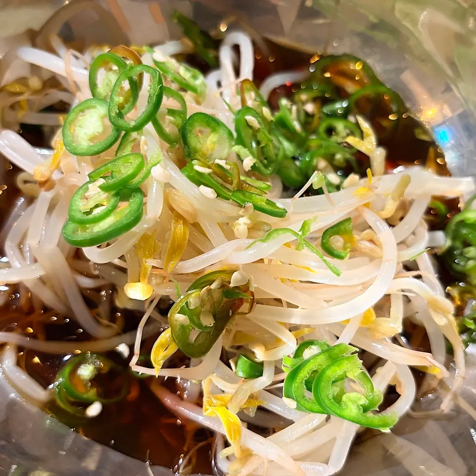 Basic side dishes of lettuce, shredded scallions, and bean sprouts