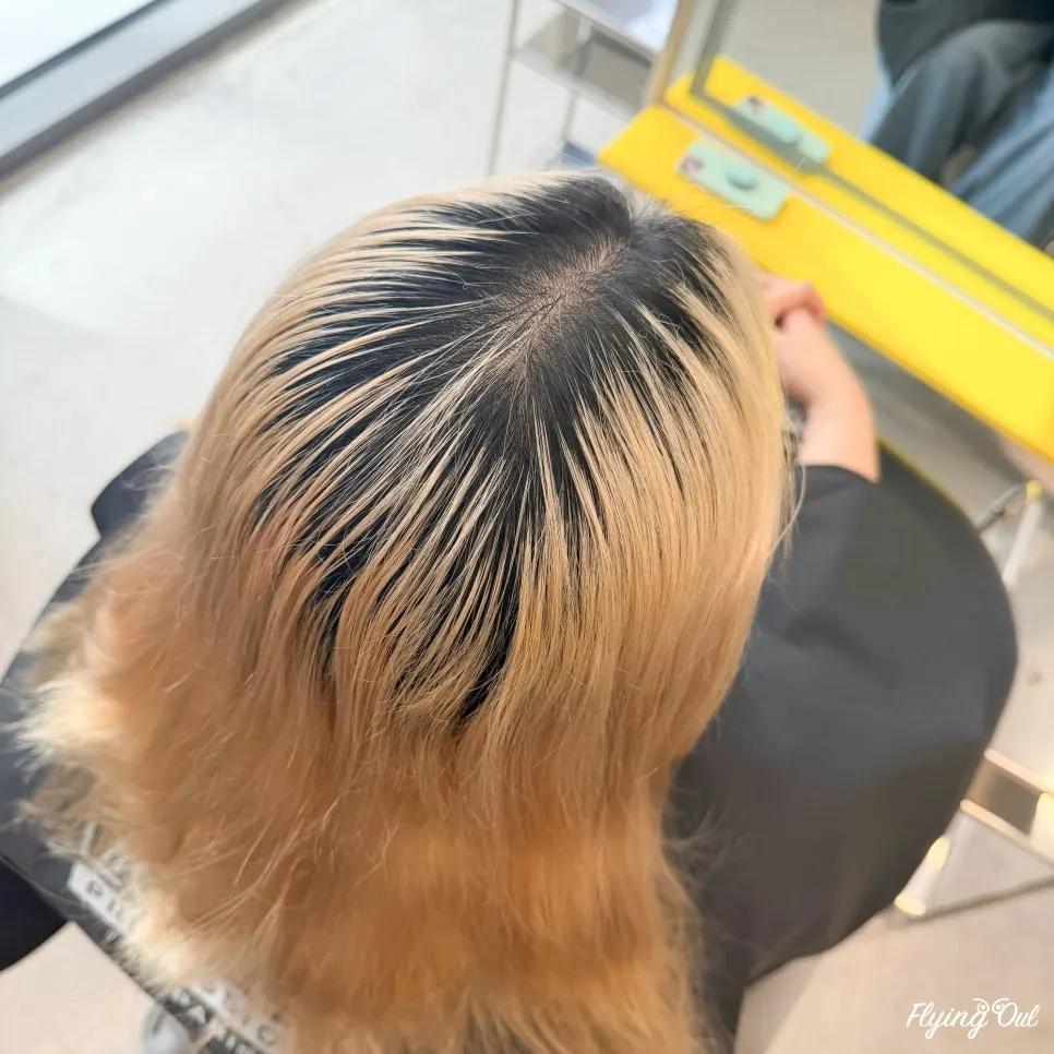 뿌리가 자라 지저분해진 비포 상태 머리