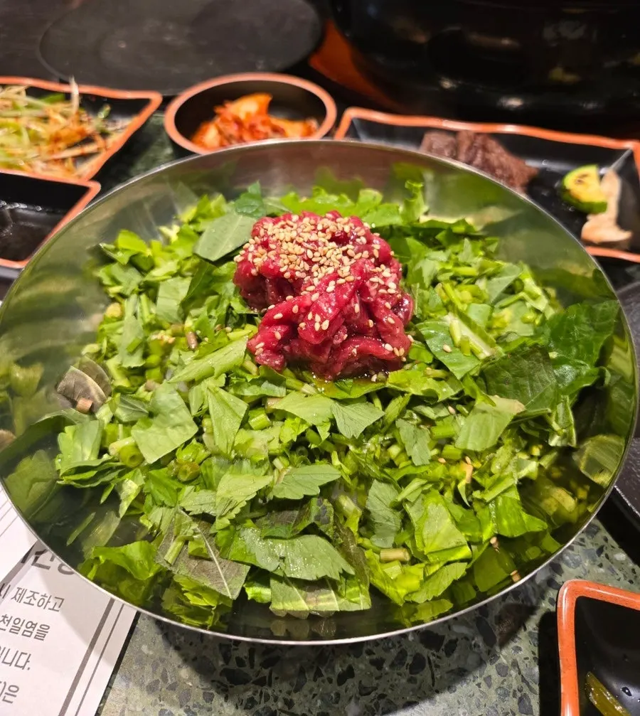 A grilled piece of hanwoo served with scallion salad and sauce