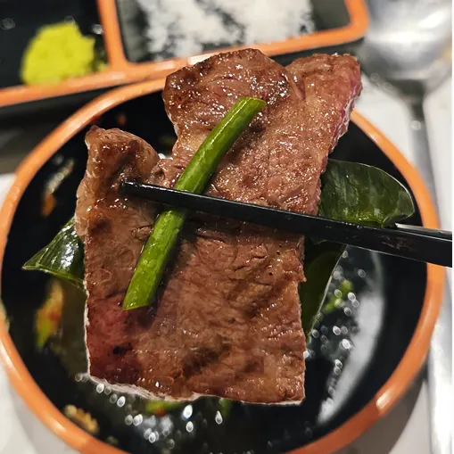 Grilled skirt steak on the pan